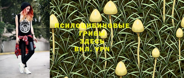 альфа пвп Осинники