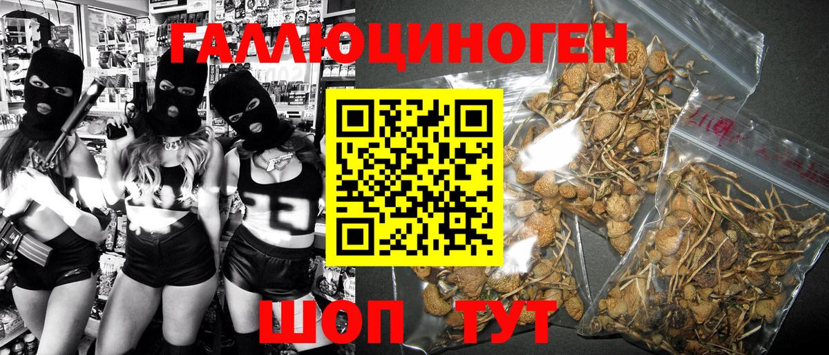 Прохладный  где можно купить наркотик  Вход с VPN  Галлюциногенные грибы GOLDEN TEACHER 