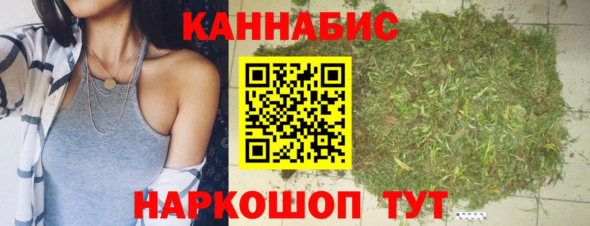 Конопля планчик Прохладный